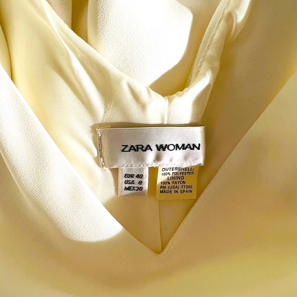 Zara dress